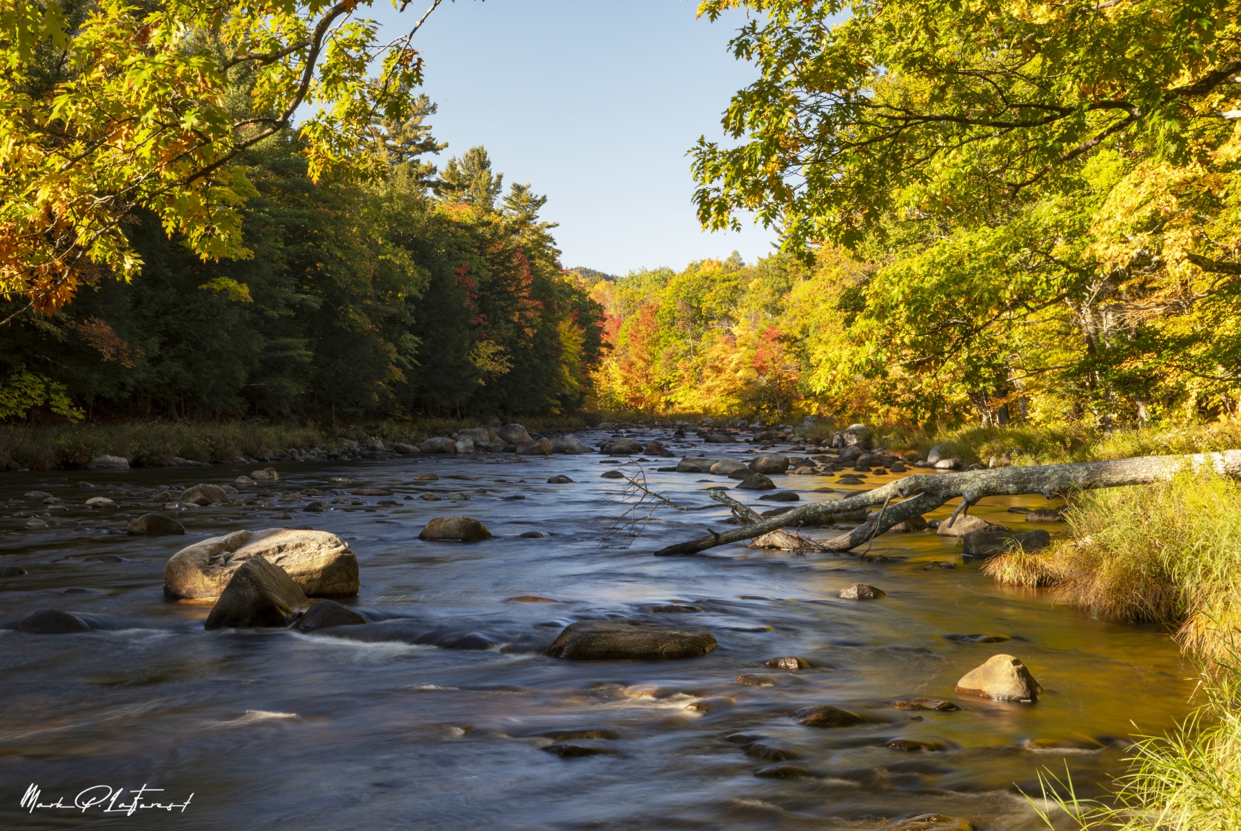 /gallery/north_america/USA/NY/jay/Ausable River October 2021-001_med.jpg